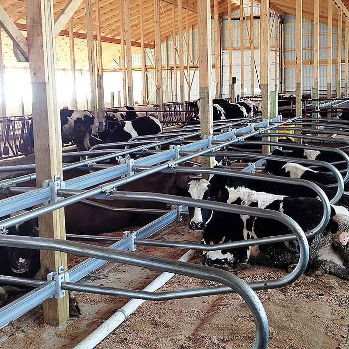 quality cow free stalls quality cow free stalls