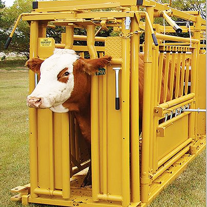 Manual Cattle Head Gate Manual Cattle Head Gate