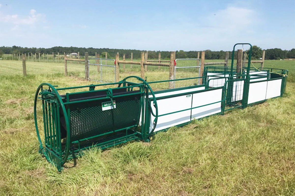 sheep handling chute for sale